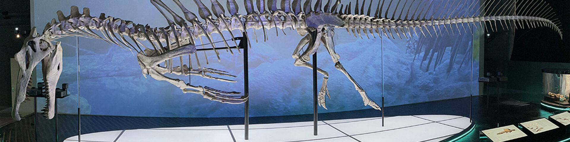 Strutture personalizzate in polistirolo per il settore museale